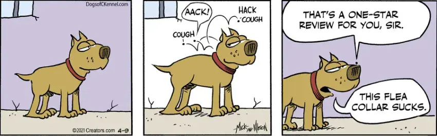 Dogs of C-Kennel for Apr 09, 2021