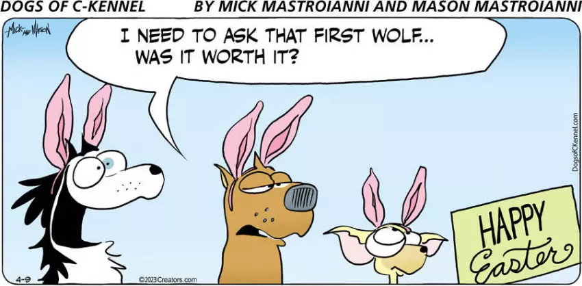 Dogs of C-Kennel for Apr 09, 2023