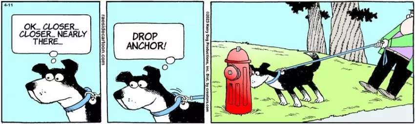 The Other Coast for Apr 11, 2023