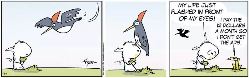 The Barn for Apr 11, 2023