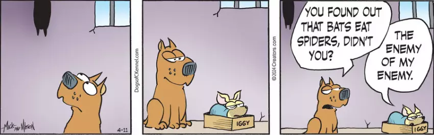 Dogs of C-Kennel for Apr 11, 2024