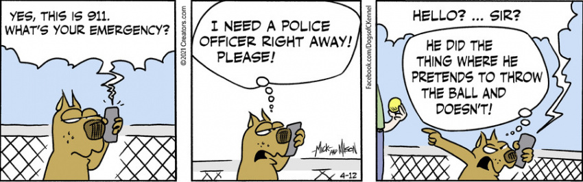 Dogs of C-Kennel for Apr 12, 2021