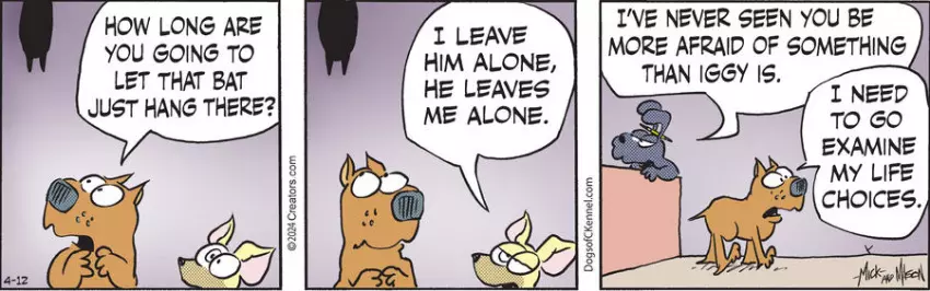 Dogs of C-Kennel for Apr 12, 2024