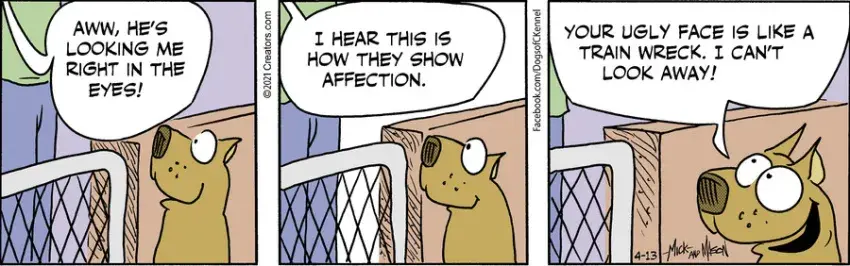 Dogs of C-Kennel for Apr 13, 2021