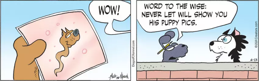 Dogs of C-Kennel for Apr 13, 2024