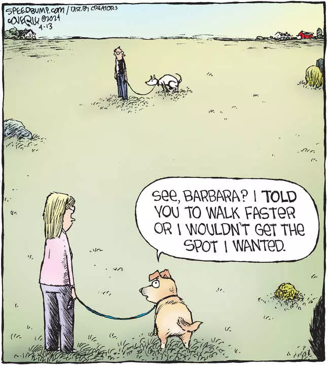 Speed Bump for Apr 13, 2024