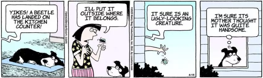 The Other Coast for Apr 15, 2023