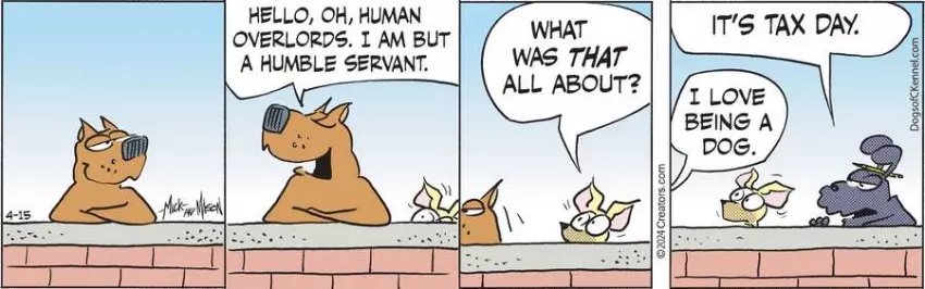 Dogs of C-Kennel for Apr 15, 2024