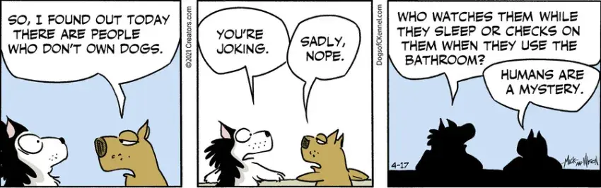 Dogs of C-Kennel for Apr 17, 2021