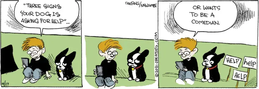 Zack Hill for Apr 17, 2021