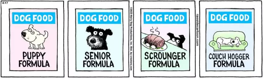 The Other Coast for Apr 17, 2023