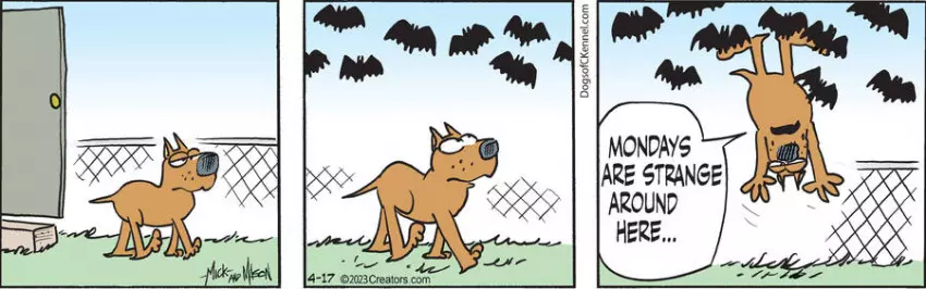 Dogs of C-Kennel for Apr 17, 2023