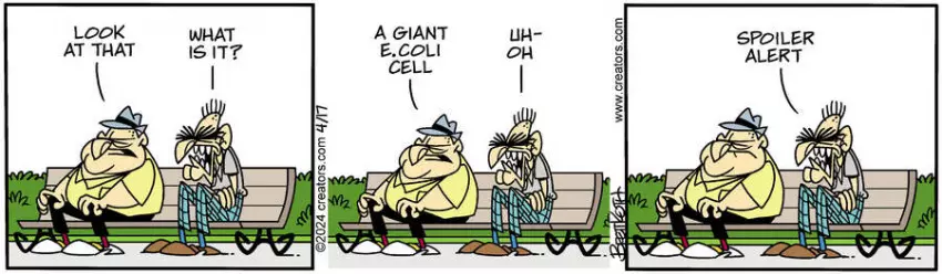 Diamond Lil for Apr 17, 2024