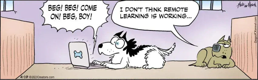 Dogs of C-Kennel for Apr 19, 2022