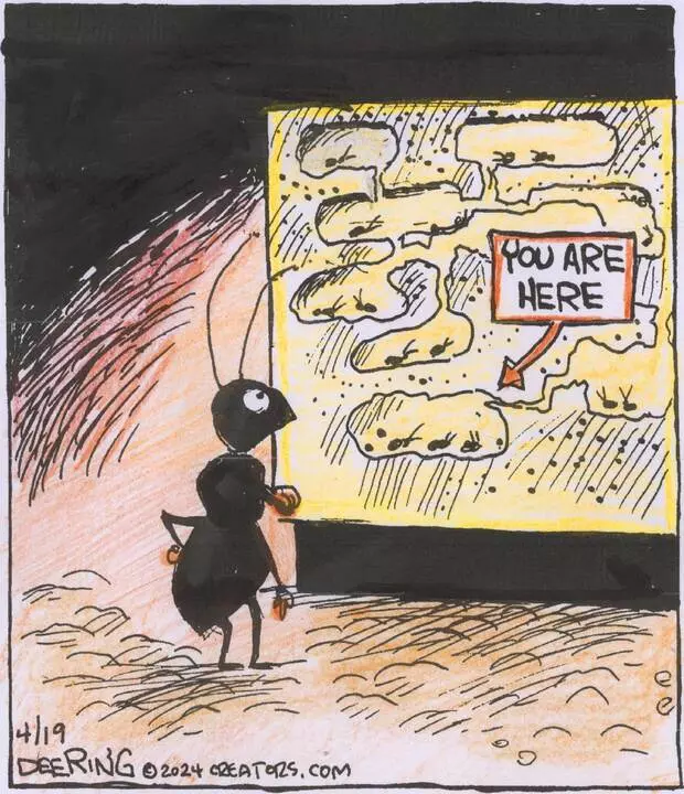 Strange Brew for Apr 19, 2024