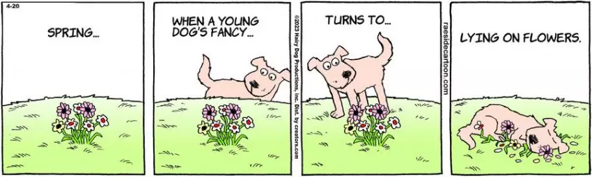 The Other Coast for Apr 20, 2023