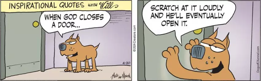 Dogs of C-Kennel for Apr 20, 2024