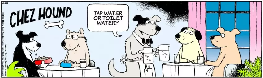 The Other Coast for Apr 20, 2024