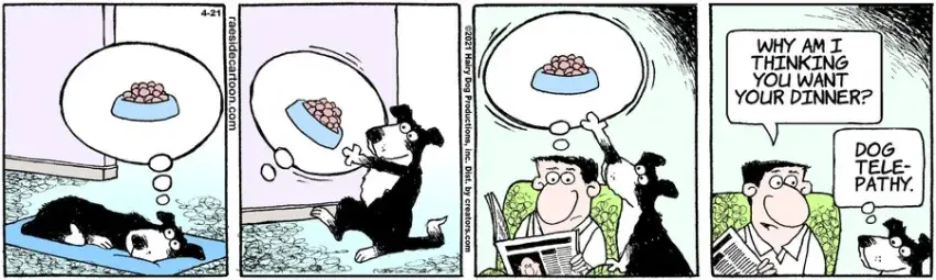 The Other Coast for Apr 21, 2021