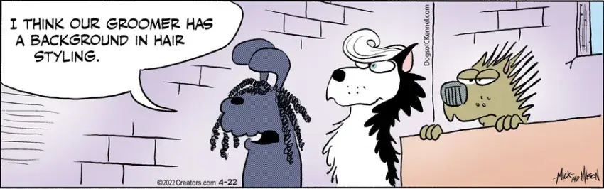 Dogs of C-Kennel for Apr 22, 2022