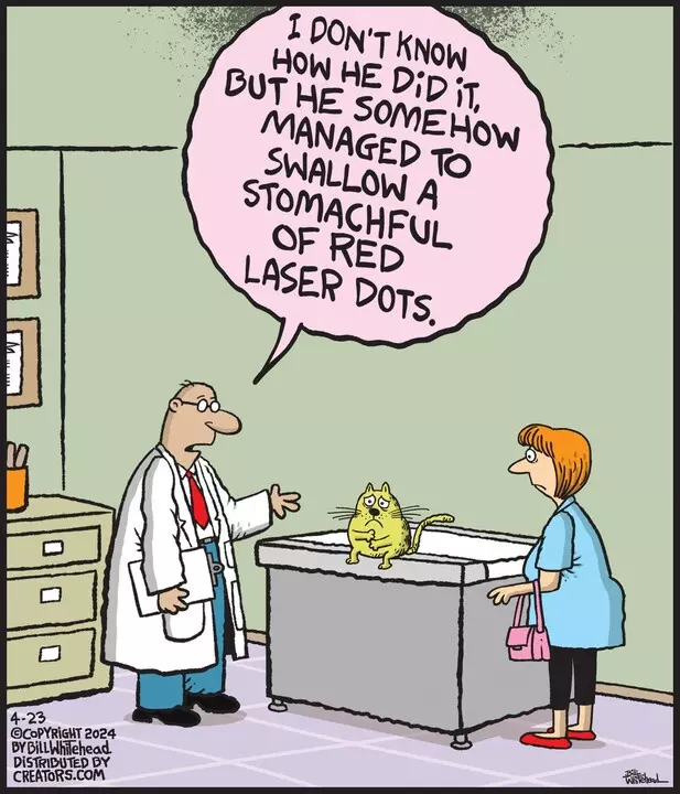 Free Range for Apr 23, 2024