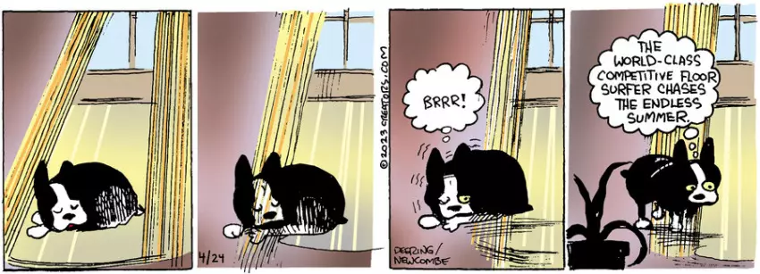 Zack Hill for Apr 24, 2023