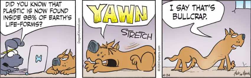 Dogs of C-Kennel for Apr 24, 2024