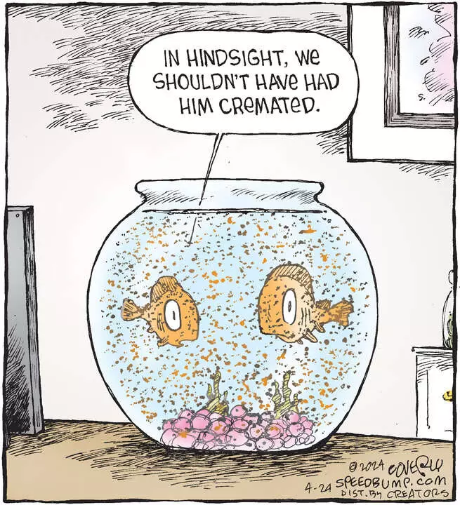 Speed Bump for Apr 24, 2024