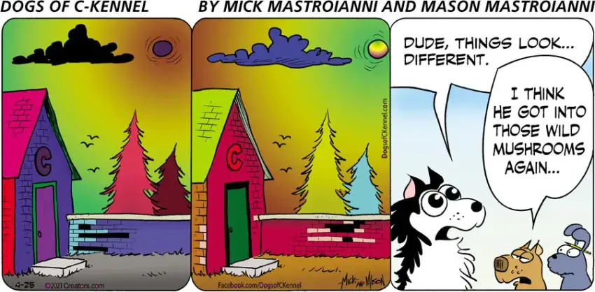 Dogs of C-Kennel for Apr 25, 2021