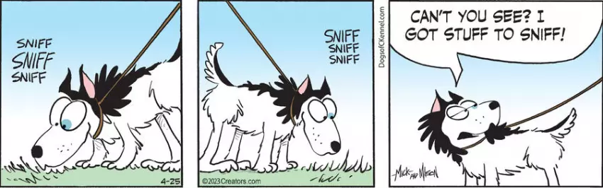 Dogs of C-Kennel for Apr 25, 2023