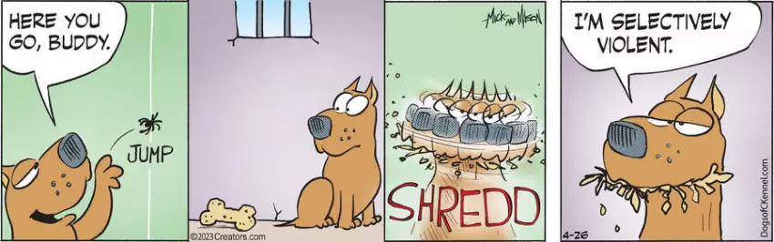 Dogs of C-Kennel for Apr 26, 2023