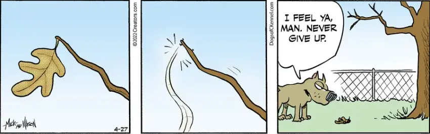 Dogs of C-Kennel for Apr 27, 2022