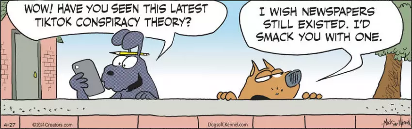 Dogs of C-Kennel for Apr 27, 2024