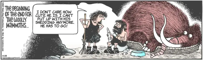 The Other Coast for Apr 28, 2021