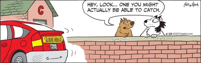 Dogs of C-Kennel for Apr 28, 2021