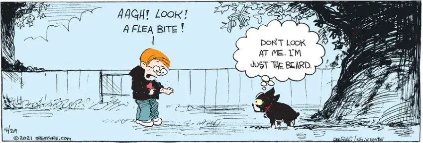 Zack Hill for Apr 29, 2021