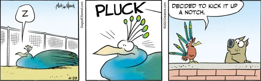 Dogs of C-Kennel for Apr 29, 2022