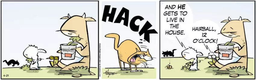 The Barn for Apr 29, 2023