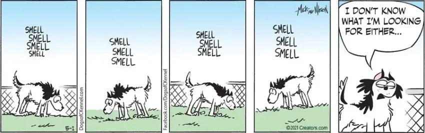 Dogs of C-Kennel for May 01, 2021