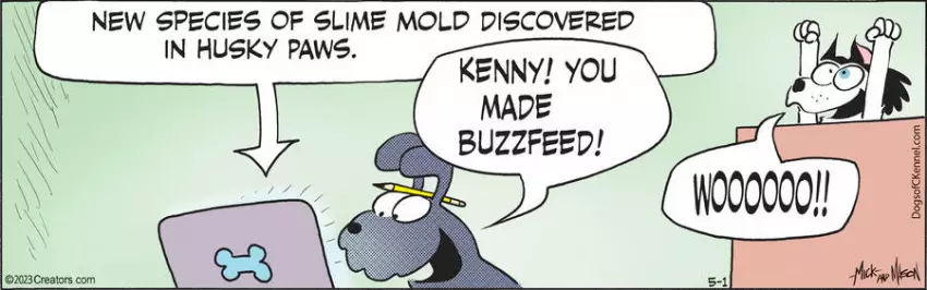 Dogs of C-Kennel for May 01, 2023