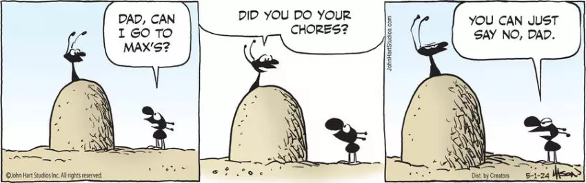 B.C. for May 01, 2024