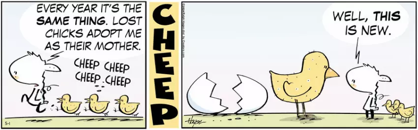 The Barn for May 01, 2024