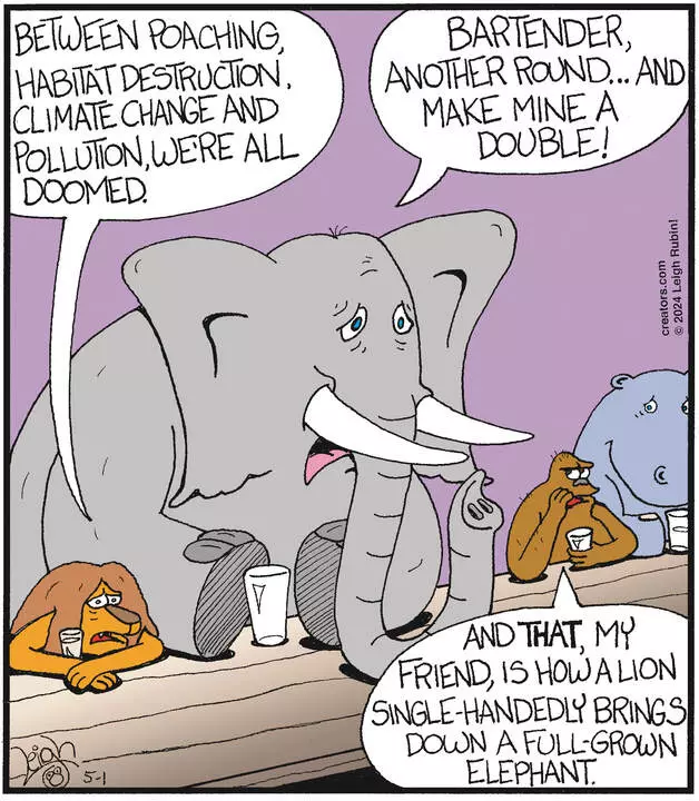 Rubes® for May 01, 2024