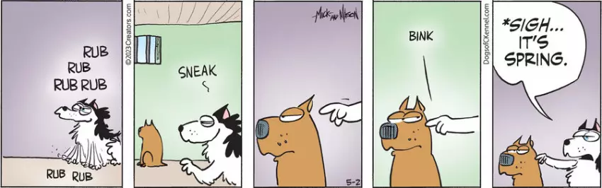 Dogs of C-Kennel for May 02, 2023