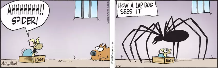 Dogs of C-Kennel for May 02, 2024