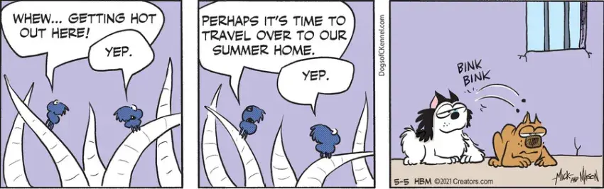 Dogs of C-Kennel for May 05, 2021