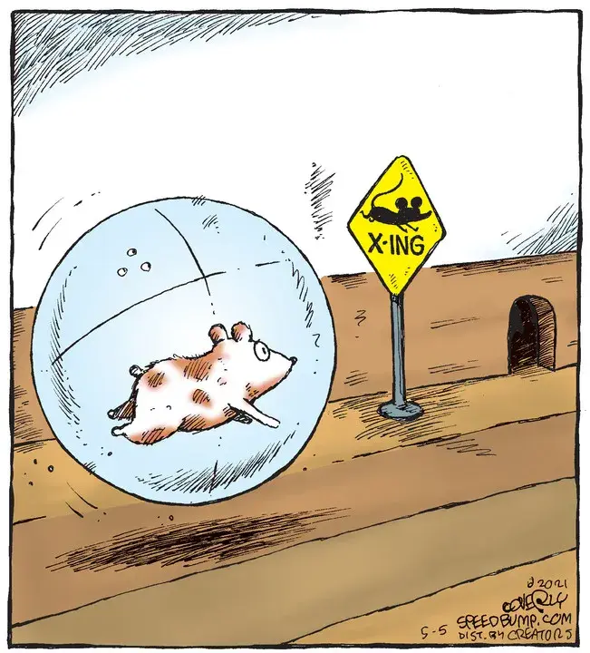 Speed Bump for May 05, 2021