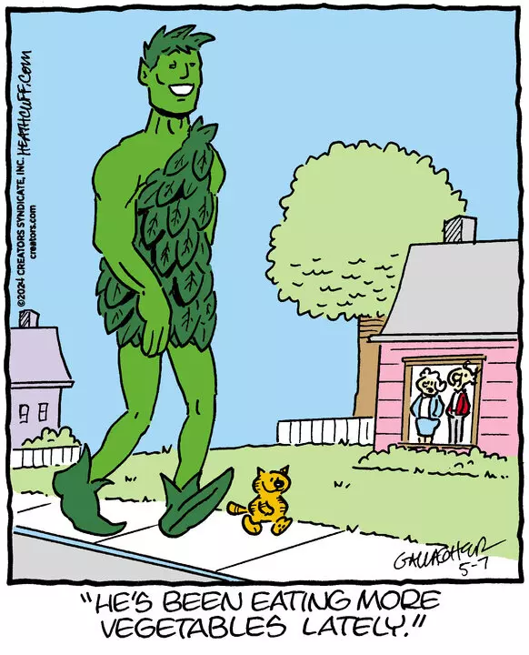 Heathcliff for May 07, 2024