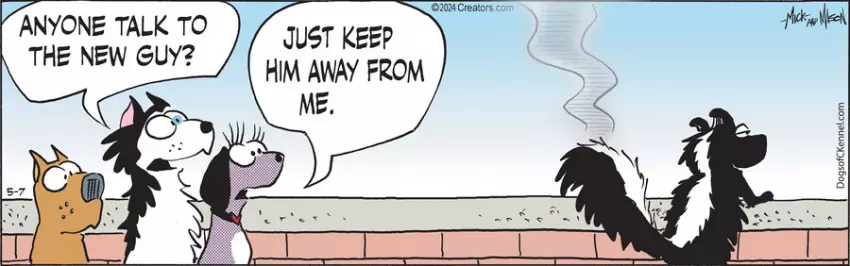 Dogs of C-Kennel for May 07, 2024
