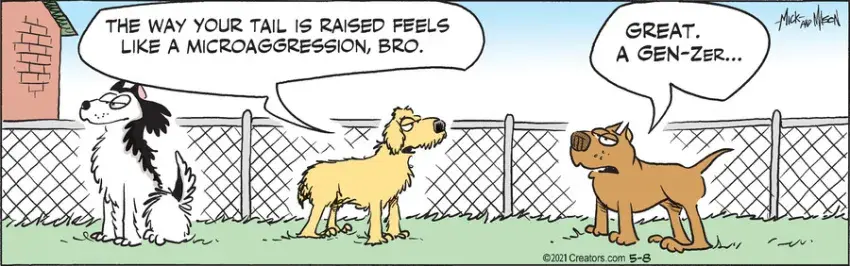 Dogs of C-Kennel for May 08, 2021
